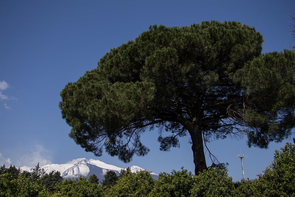 Il Melograno Villa San Leonardello Buitenkant foto