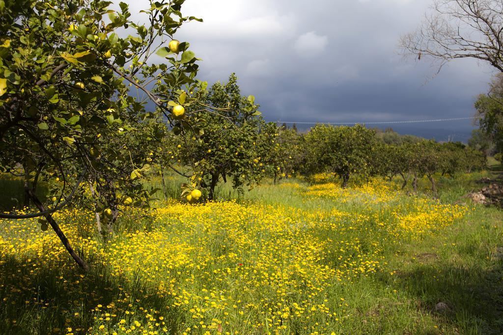 Il Melograno Villa San Leonardello Buitenkant foto